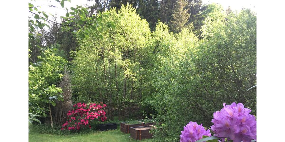 Einfamilienhaus Hermeskeil - 280.000&euro; | Angebot:9974308