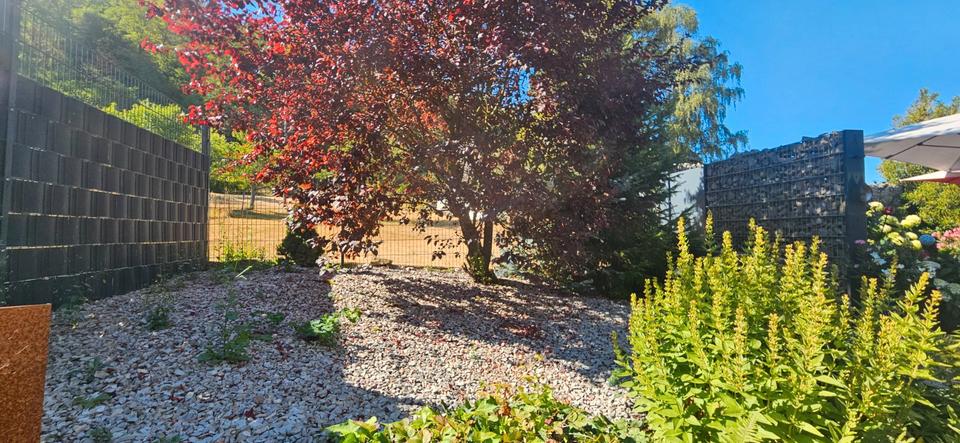 Reihenhaus Irsch - 3 Zimmer, 60 m&sup2;, 85.000&euro; | Angebot:27226326