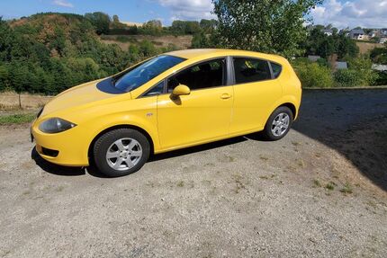 Seat Leon 167.000 km 2.650 &euro; Berglicht 54426