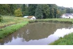 Traumhafte ruhige Alleinlage mit Teichen - Einfamilienhaus Kirf | Angebot:26089968