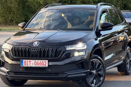 Skoda Karoq 150.000 km 17.900 &euro; Bitburg 54634