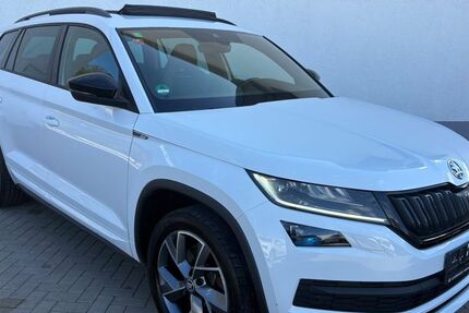 Skoda Kodiaq 350.000 km 14.800 &euro; Trierweiler 54311