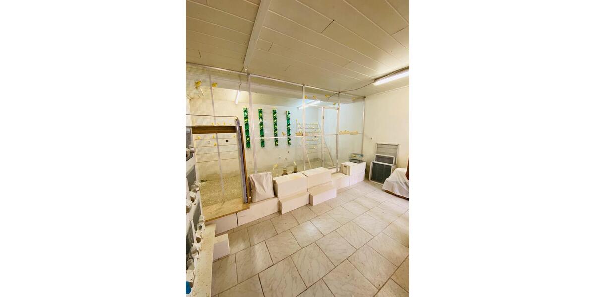 Bauernhaus, Landhaus Rittersdorf - 13 Zimmer, 700 m&sup2;, 395.000&euro; | Angebot:8801783