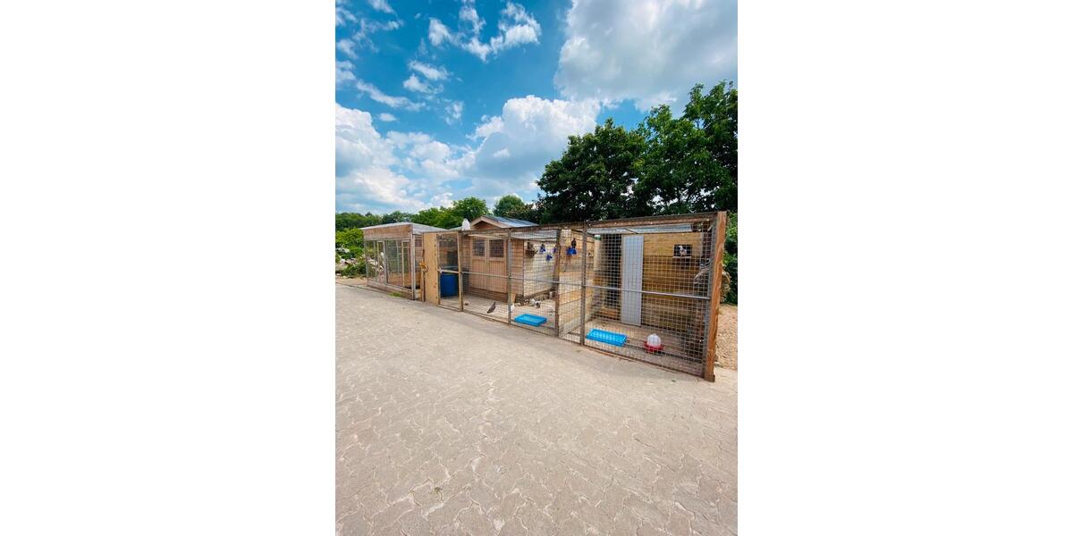 Bauernhaus, Landhaus Rittersdorf - 13 Zimmer, 700 m&sup2;, 395.000&euro; | Angebot:8801783
