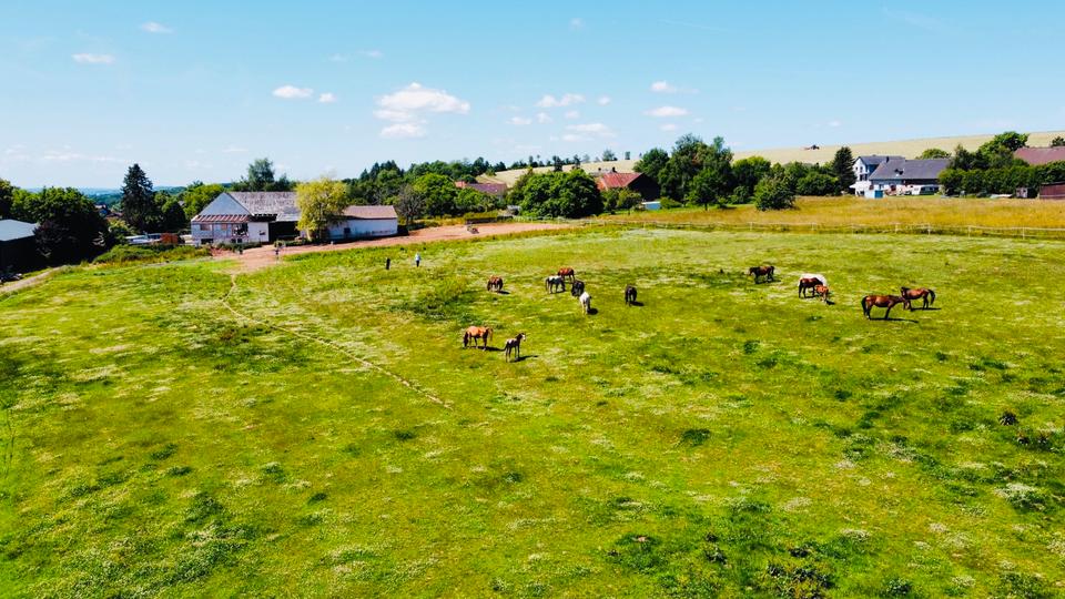 Bauernhaus, Landhaus Rittersdorf - 13 Zimmer, 700 m&sup2;, 395.000&euro; | Angebot:8801783