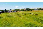 Bauernhaus, Landhaus Rittersdorf - 13 Zimmer, 700 m&sup2;, 395.000&euro; | Angebot:8801783