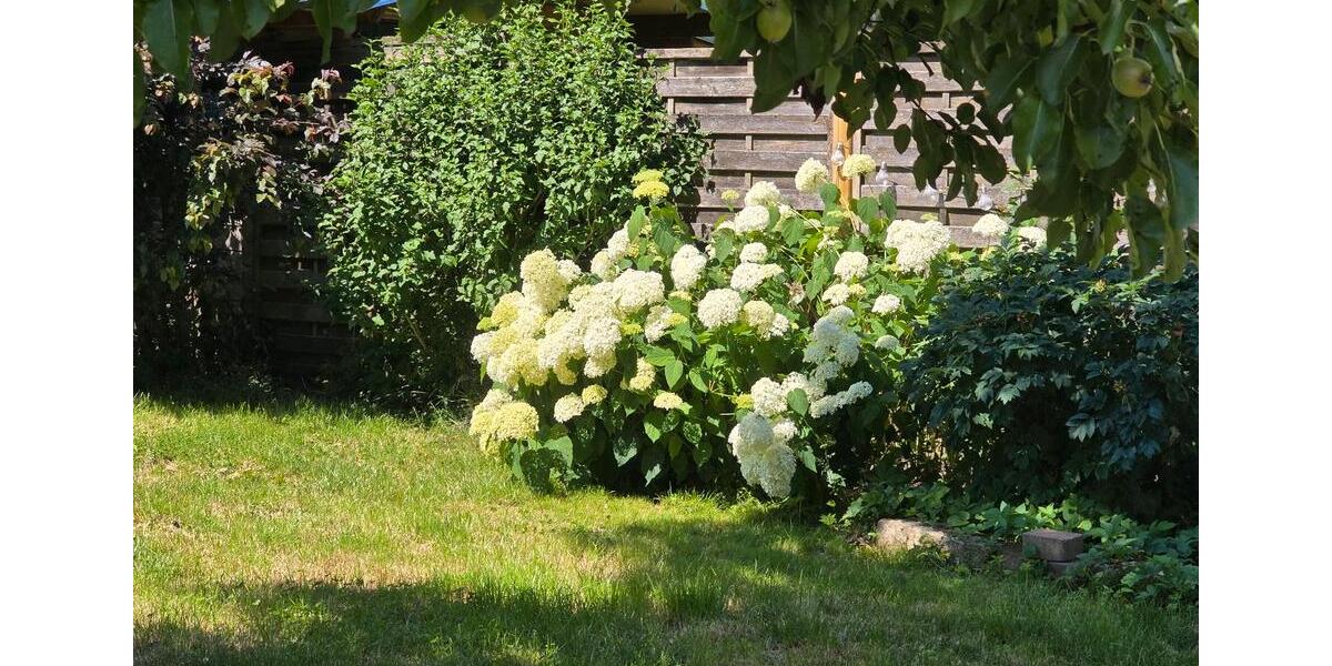 Bauernhaus, Landhaus Osburg - 4 Zimmer, 90 m&sup2;, 295.000&euro; | Angebot:26957958