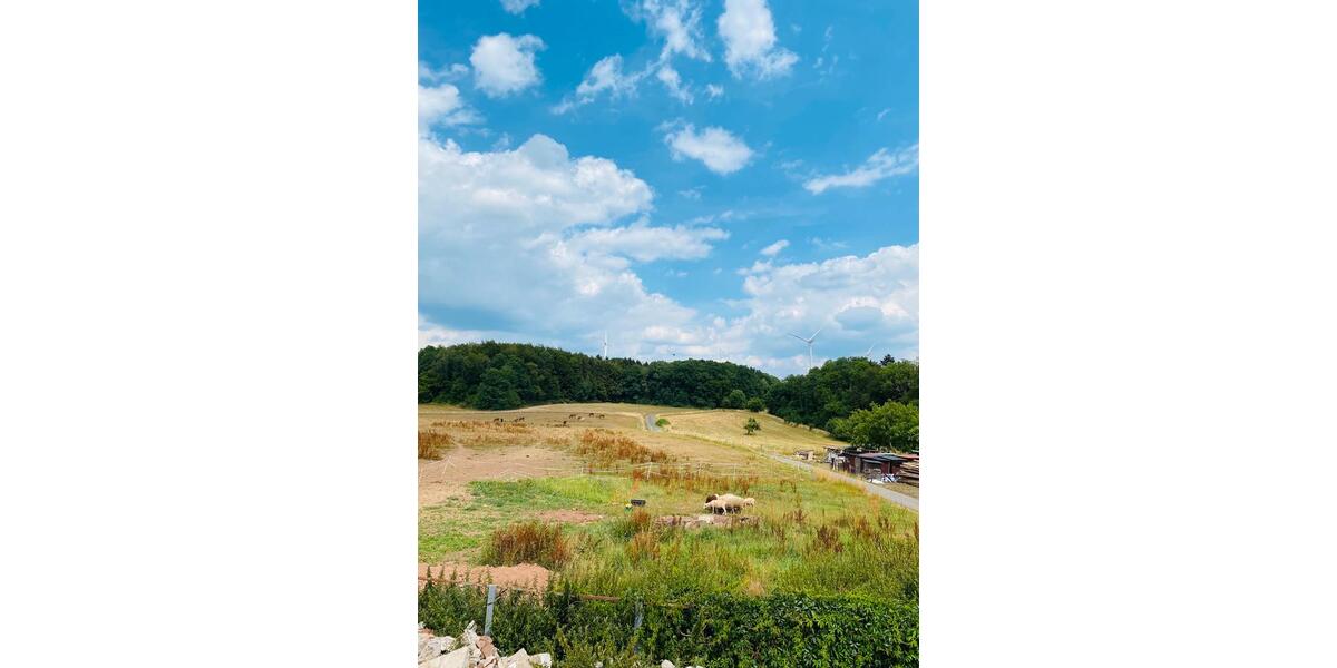 Bauernhaus, Landhaus Rittersdorf - 13 Zimmer, 700 m&sup2;, 395.000&euro; | Angebot:8801783