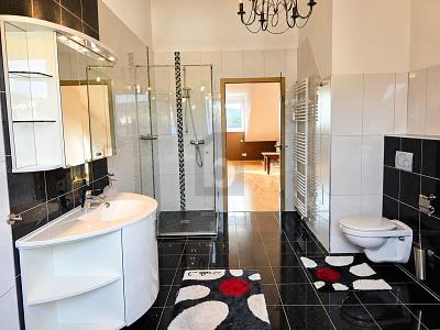EXKLUSIVES WOHNEN ÜBER DEN DÄCHERN VON KONZ - Etagenwohnung Konz | Angebot:27354840