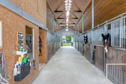 Haus Niederweis Maschmühle - 5 Zimmer, 256 m&sup2;, 1.199.000&euro; | Angebot:27116871