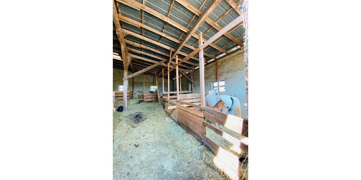 Bauernhaus, Landhaus Rittersdorf - 13 Zimmer, 700 m&sup2;, 395.000&euro; | Angebot:8801783
