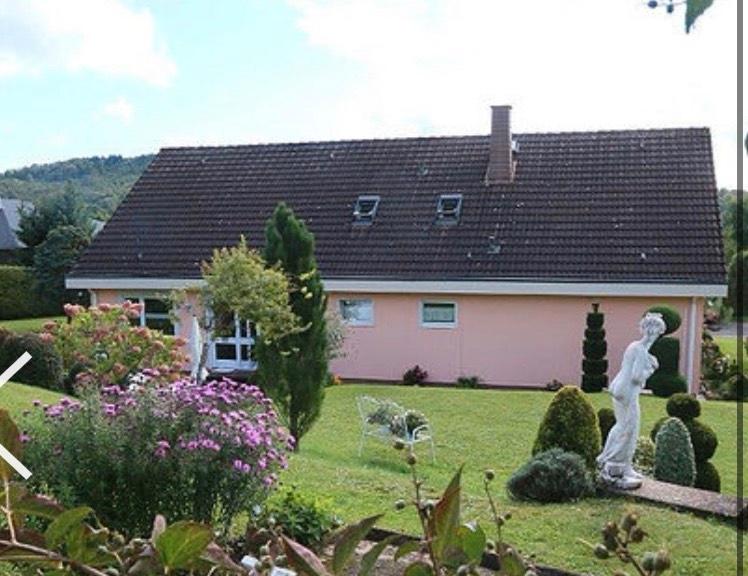 Einfamilienhaus Nonnweiler - 7 Zimmer, 300 m&sup2;, 350.000&euro; | Angebot:27455201