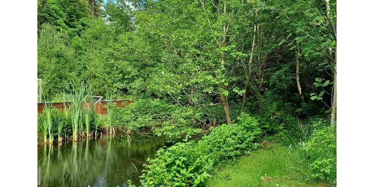 Einfamilienhaus Hermeskeil - 280.000&euro; | Angebot:9974308