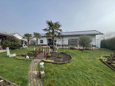 ALTERSGERECHT, POOL, TOP ZUSTAND, EFFIZIENT - Einfamilienhaus Weiskirchen | Angebot:27446371
